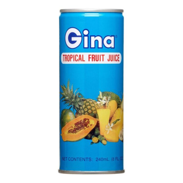 Gina Tropical fruit juice 240ml