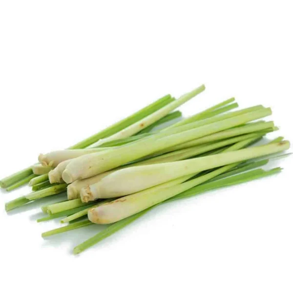 Frozen Lemon Grass 500g