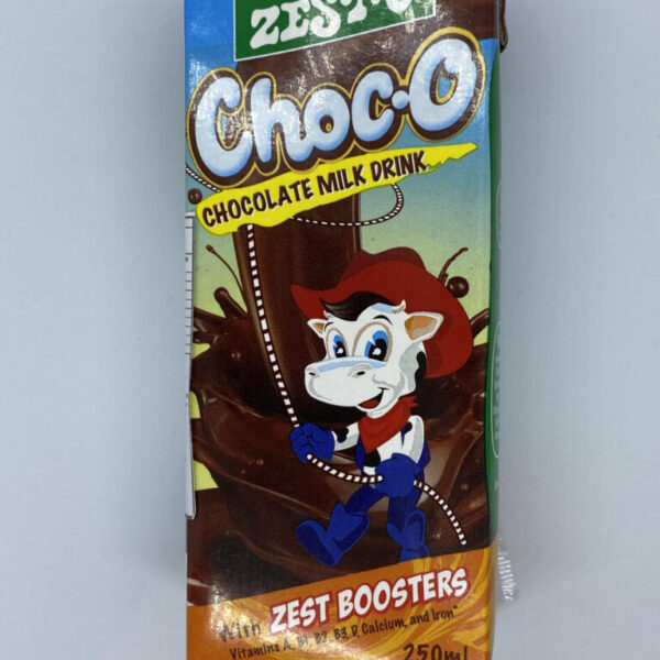 Zest-O Choc-O Chocolate Milk Drink 250ml